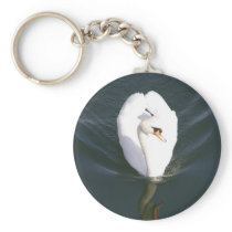 Swan1