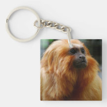Sweet Golden Lion Tamarin Acrylic Keychain