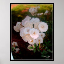 SweetMaryPhotographyFlowerPaintings2 Posters