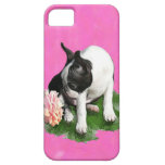 sweetpee iPhone 5 cover
