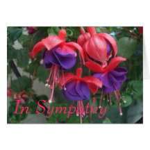 SympathyFuschia Kort