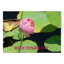SYMPATI KORT