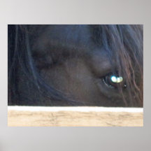 Syna av Equustryck Posters