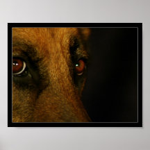 Syna dig posters