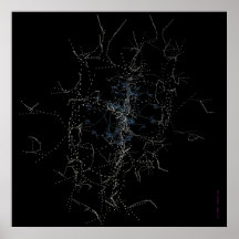 SYNAPTIC FEBER PRINT