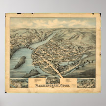 Synar Birmingham CT fåglar 1876 beskådar panorama- Posters
