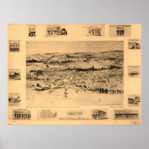 Synar Lakeport CA fåglar 1888 beskådar panorama- k Print