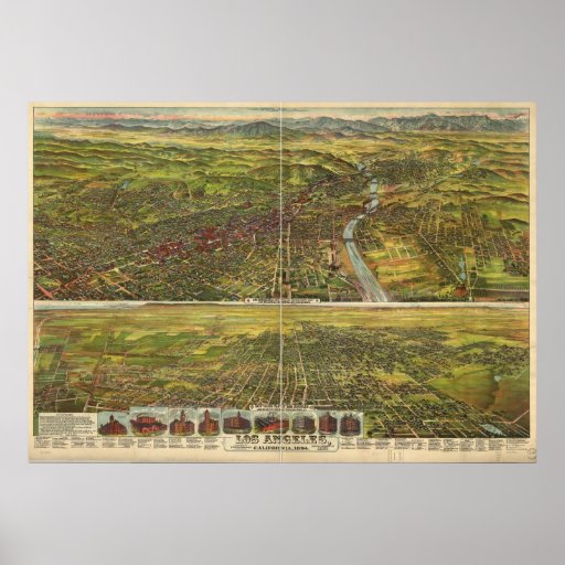 Synar Los Angeles CA fåglar 1894 panorama- kartläg Posters