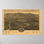 Synar San Gabriel CA fåglar 1893 panorama- kartläg Print