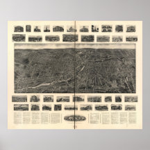 Synar Torrington CT fåglar 1907 beskådar panorama- Print