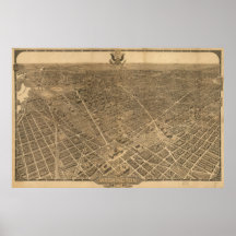 Synar Washington DC-fåglar 1921 beskådar panorama- Print
