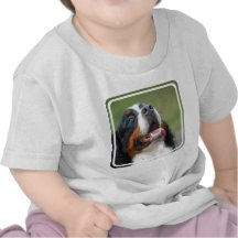 T-tröja för Berner Sennenhund hundbaby