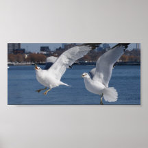Ta flyg print