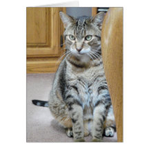 Tabby katt hälsnings kort