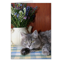 Tabby katt "saknad dig" Notecard Hälsningskort