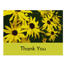 Tacka dig att card, gula daisyflowers. vykort