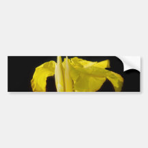 Tacka dig - Cannas Bildekal