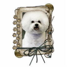 Tacka dig - stentassar - Bichon Frise Photo Cut Out