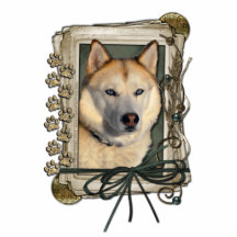 Tacka dig - stentassar - siberian husky - förkoppr photo cutout