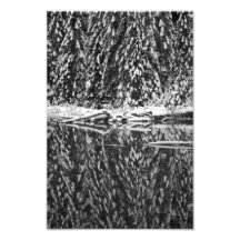 Täckt Snow sörjer att reflektera på Lake 22 Fotografi