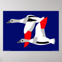 Tadorna tadorna print