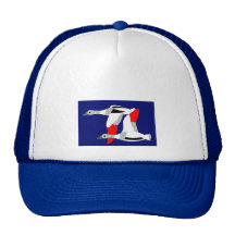 Tadorna tadorna trucker kepsar