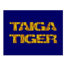 taiga Tiger Postkarten
