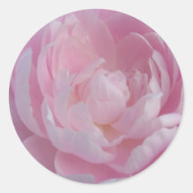 Tända - rosa pioner för pionbröllopklistermärkear
