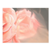 Tända - rosa rosreflexionen i silver vykort