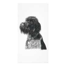 Tandhjul - fotokort