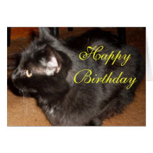 TÄNKTE DU skulle mig GLÖMMER? BIRTHADAY-kort