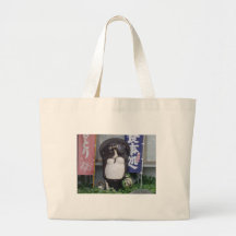 Tanukisan2 Kasse