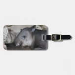 Tapirbagagemärkre