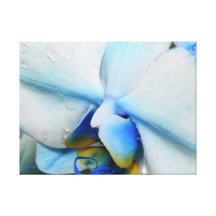 Tappar på slågen in kanfas för blått orchiden sträckta canvas tryck