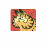 Tappning Garfield, kvinna skjorta