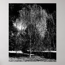Tårpilkanfas Posters