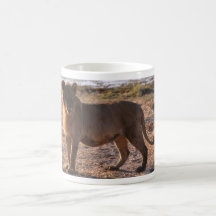 Tau som är lejon, foto kaffe muggar