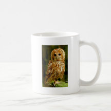 Tawny uggla kaffe muggar