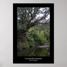 Te Mata liten vik Posters