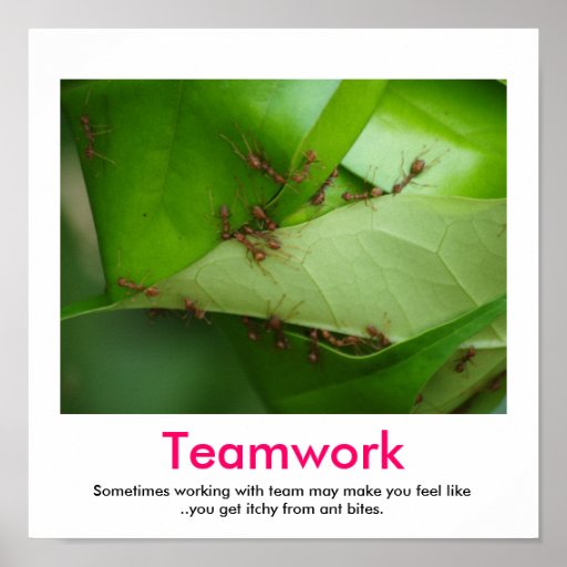 TEAMWORKdemotivationalaffisch