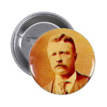 Teddy Roosevelt - knäppas Knapp Med Nål