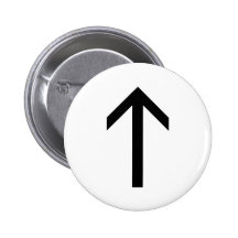 TEIWAZ-RUNA PINS