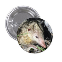 Tenrec Pins