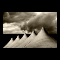 Tent affischer