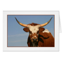 Texas Longhornko Kort