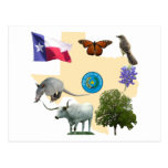 Texas statliga symboler vykort