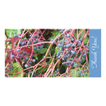Thank You! - Photo-Card (Blue Berries) Fotokartenvorlage