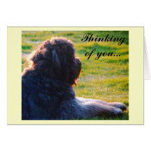 Thinkingof dig… kort