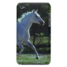 Thoroughbredhingstspring iPod Touch Case-Mate Case