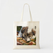 Tibetan Terriervalp tyg kassar